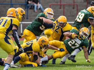 HR-14-06-28-15-41-45-9661