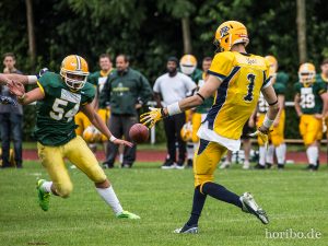 HR-14-06-28-17-18-21-0527