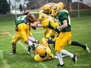 HR-14-07-12-15-23-50-2195