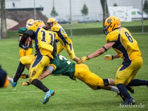 HR-14-07-12-16-39-41-2541