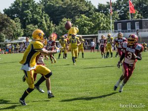 HR-14-07-19-17-17-14-2949