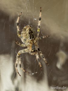 HR-14-09-16-14-34-53-0154