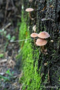 HR-14-09-17-12-29-54-0173