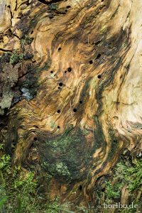 HR-14-09-17-12-44-21-0179