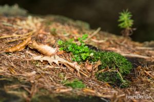 HR-14-09-17-12-45-06-0181