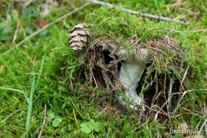 HR-14-09-17-12-52-48-0188