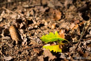 HR-14-09-17-13-03-33-0195