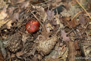 HR-14-09-17-13-07-41-0201