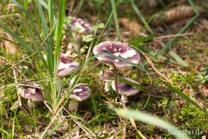 HR-14-09-17-13-20-05-0207