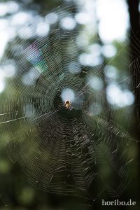 HR-14-09-17-13-29-17-0217