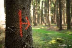 HR-14-09-17-13-35-26-0221