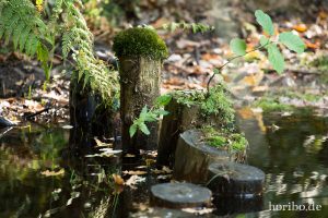 HR-14-09-17-14-38-01-0266