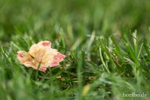 HR-14-09-28-17-31-50-0504