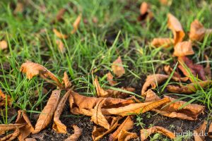 HR-14-11-01-16-15-27-0710