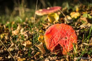 HR-14-11-01-16-19-19-0716