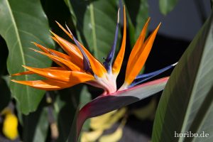 HR-14-11-19-12-50-39-0820