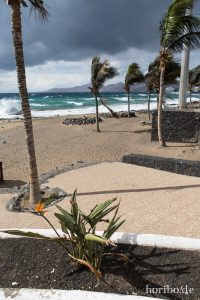 HR-14-11-19-14-08-25-0845