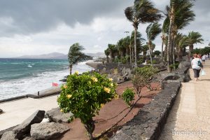 HR-14-11-19-14-12-51-0854