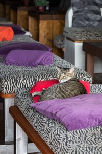 HR-14-11-21-14-21-14-0926