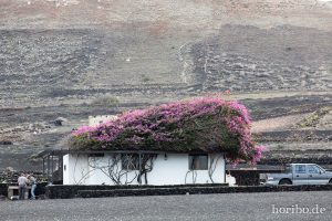 HR-14-11-21-15-11-17-0941