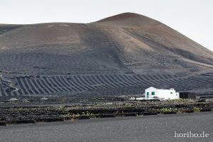 HR-14-11-21-15-13-15-0948