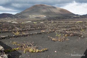 HR-14-11-21-16-34-55-0982