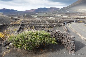 HR-14-11-21-16-36-18-0985