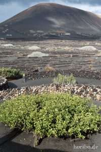 HR-14-11-21-16-50-08-0990