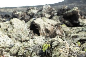 HR-14-11-21-17-05-35-0997