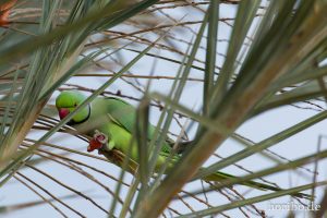 HR-14-11-21-18-16-44-1023