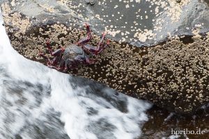 HR-14-11-22-17-48-43-1158