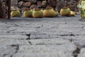 HR-14-11-24-14-59-41-1549