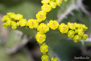 HR-14-11-24-15-10-01-1556