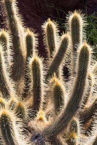 HR-14-11-24-15-12-45-1560