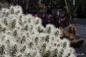 HR-14-11-24-15-16-04-1565