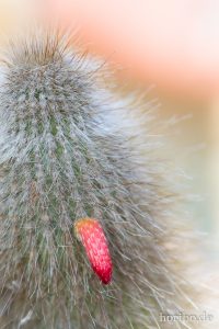 HR-14-11-24-15-24-13-1577