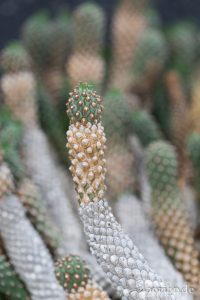 HR-14-11-24-15-31-30-1587