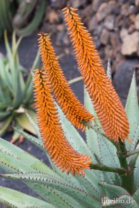 HR-14-11-24-15-37-11-1593