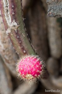 HR-14-11-24-15-39-47-1597