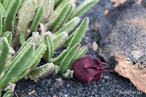 HR-14-11-24-15-40-41-1598