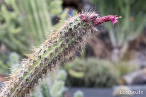 HR-14-11-24-15-45-31-1603