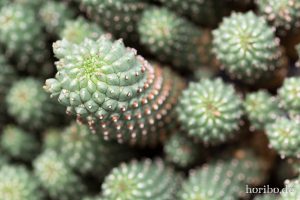 HR-14-11-24-15-52-12-1610