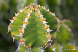 HR-14-11-24-15-58-23-1616