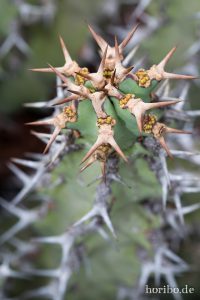 HR-14-11-24-16-00-40-1618