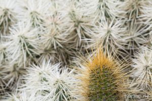 HR-14-11-24-16-02-01-1619