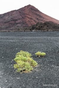 HR-14-11-27-16-24-07-1954