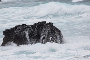 HR-14-11-27-16-37-26-1995