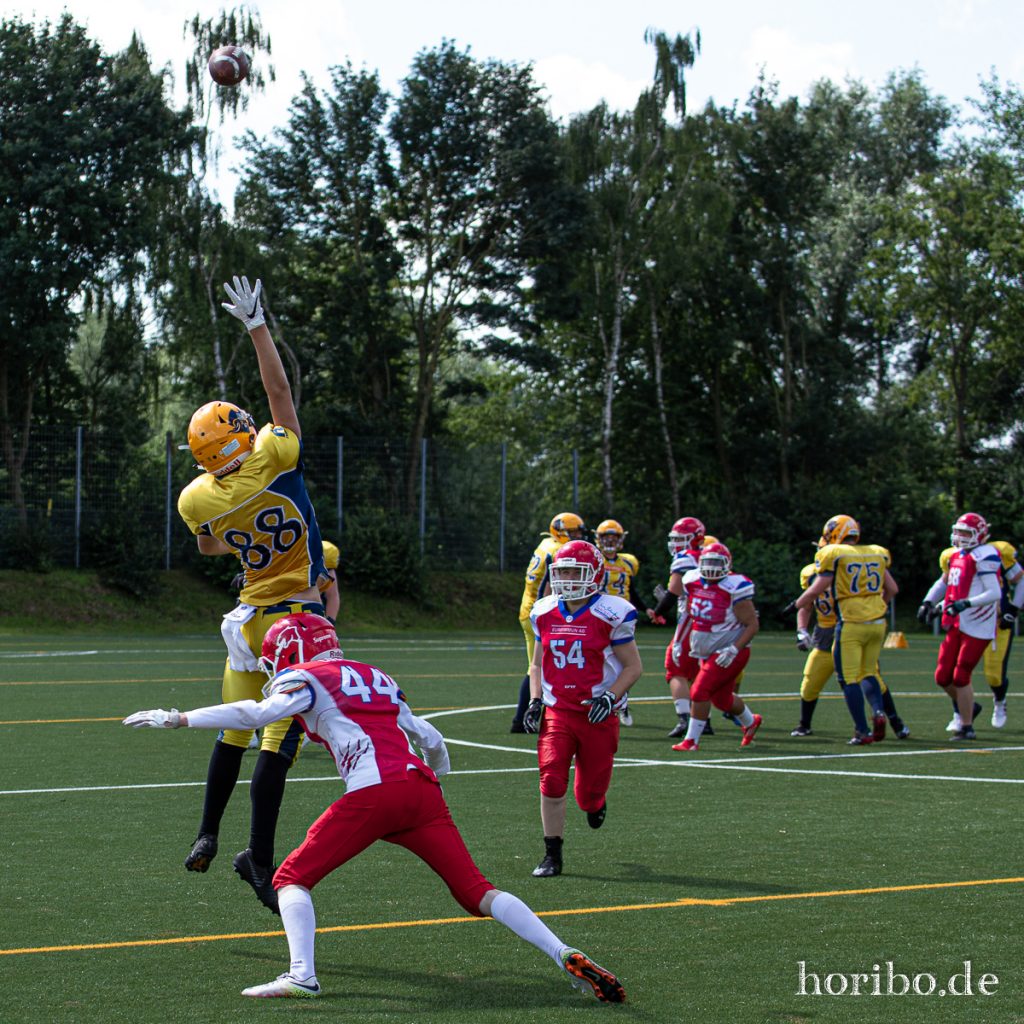 HR-19-06-22-12-07-39-7776