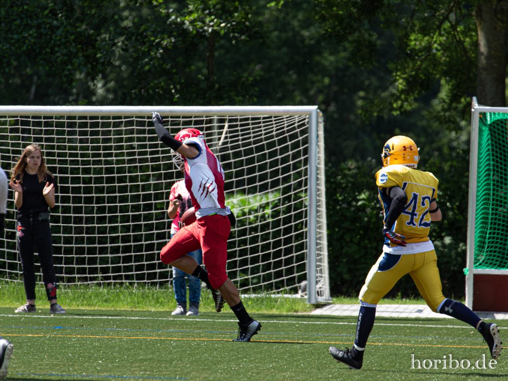 HR-19-06-22-13-29-44-8153