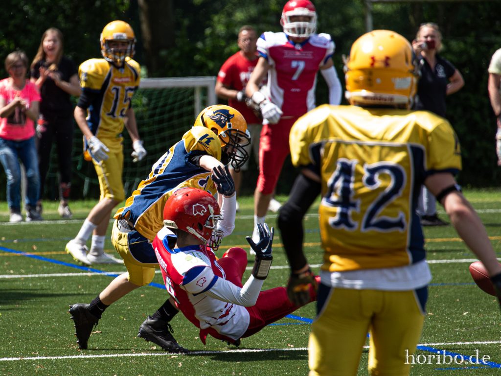 HR-19-06-22-13-33-27-8184